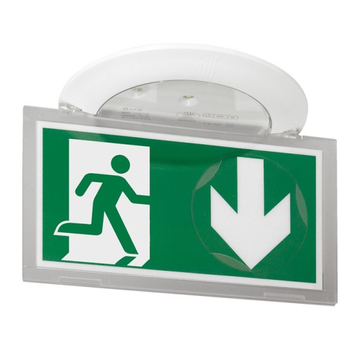 [LEG062524] Bloc de secours baes d'évacuation avec led 45lm 1h IP40